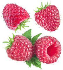Collection of ripe raspberries with raspberry leaves.