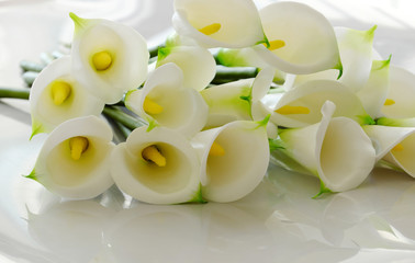 Obraz na płótnie Canvas arum lily on white