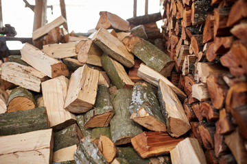 Stacks of beech firewood