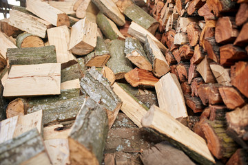 Stacks of beech firewood