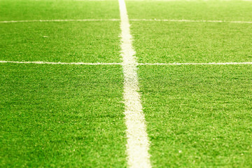 Obraz premium Soccer field, center and sideline.