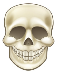 Cartoon Skull