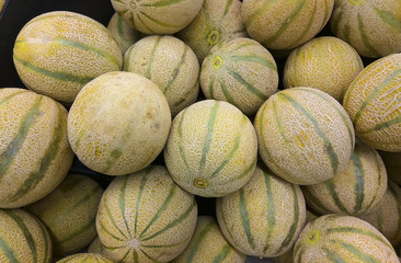 New sort of melons on a market place