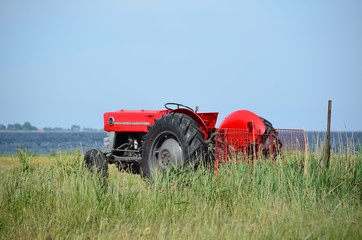 Traktor, rot, alt, Oldtimer, Feld, Bauernhof