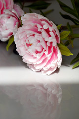 peony flower from clay
