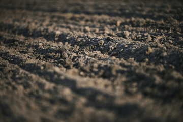 Red tractor with sowing machine on a ploughed field