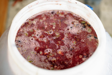 A plastic barrel with crushed grapes. The process of making wine.