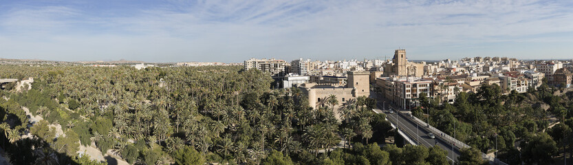 Fototapeta na wymiar Panorama of the city of Elche in the province of Alicante, Spain.