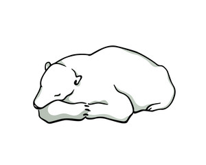 Vector card with hand drawn polar bear