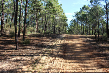 National park Vale do Guadiana in portugal