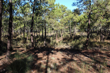 National park Vale do Guadiana in portugal