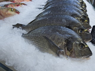 Fresh natural fish seafood on ice for sale on farmers market counter close-up