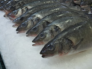 Fresh natural fish seafood on ice for sale on farmers market counter close-up