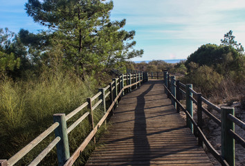 Naklejka premium Plaża Adama i Ewy w Portugalii
