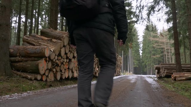 Man walking along a pile of cut wood