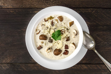 Plate of mushroom soup, top view with copy space