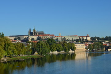Fototapeta premium Prague - Vltava River and St. Vitus Cathedral