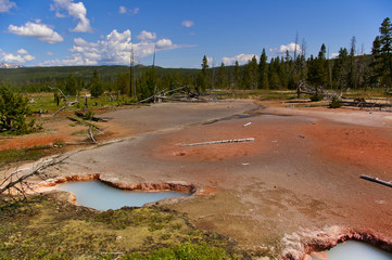 Thermal pools in Yellowstone National Park, USA with wooded hills in the background