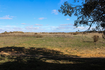 Obraz premium national park Ria Formosa, Algarve, Portugal