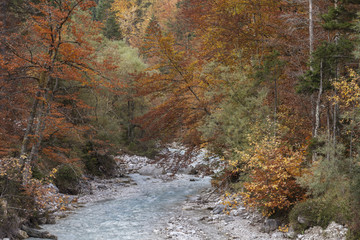 Landschaft in Slowenien