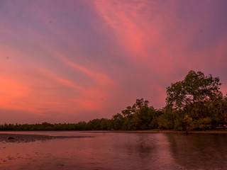 sweet  twilight at the mangrove