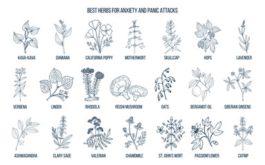 Best herbs for anxiety and panic attacks - obrazy, fototapety, plakaty