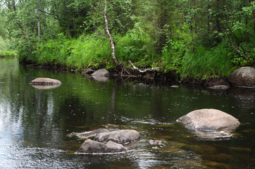 Fototapeta premium Vegetation and stones on the bank of the Unduxa river