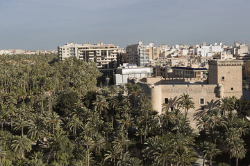 Obraz premium Views of the city of Elche in the province of Alicante