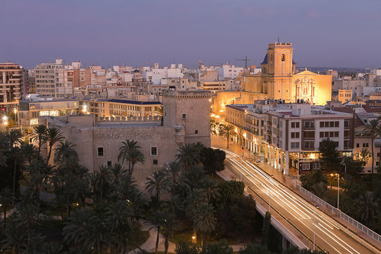 Views of Elche city at sunset in front of the palm grove.