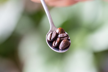 Backgrounds of Roasted coffee beans.