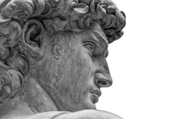 Head of a famous statue by Michelangelo - David from Florence, isolated on white - obrazy, fototapety, plakaty