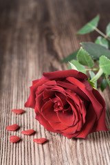 Single red rose witn small hearts on wooden background