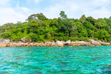 Wild green tropical sea stone coast