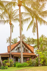 Fototapeta na wymiar Wooden house in beautiful tropical nature
