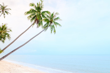 Coconut palm trees on sand beach and calm sea