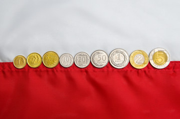 Polish coins on polish flag background