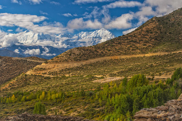 Nepal - Upper Mustang - Samar