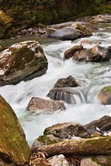 wild water