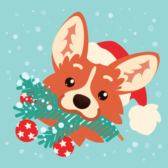 Cute corgi dog in Santa hat with Christmas tree branch in mouth. Colorful illustration of Welsh Corgi head in flat cartoon style on blue background with snow. Christmas card. Happy New Year. Vector.