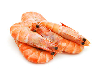 boiled shrimps isolated on white background