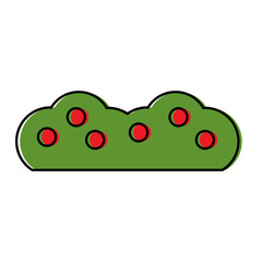 bush with berries icon image vector illustration design 