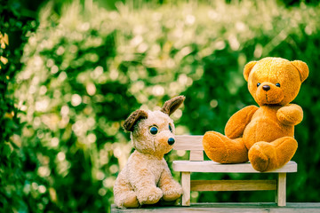 dog doll looking bear doll on wooden bench with dramatic tone