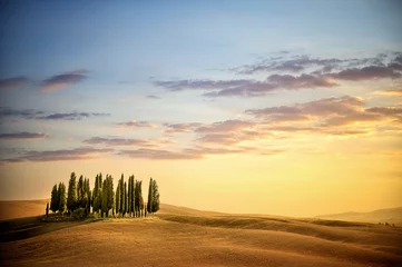San Quirico d& 39  Orcia, berühmte Gruppe von Zypressen im Sommersonnenunterganglicht. Toskana Landschaft, © Massimo Santi