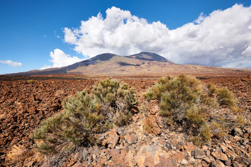 Teide Volcano in Tenerife