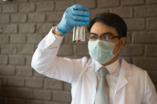 scientist wear white dress and blue gloves holding multicolor glass test tube. Chemist examines chemical test tube, science, doctor