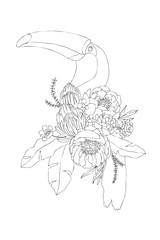 exotic linear bird tukan with blooming flowers. Isolated decorative element. Tattoo concept. Tropical concept. flower concept. Vector design © valeriyabtsk