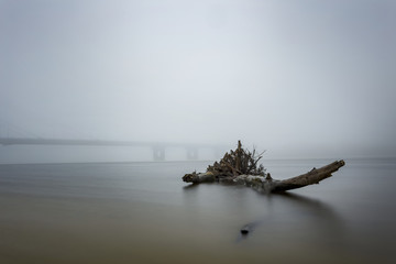 beam on the river in a fog