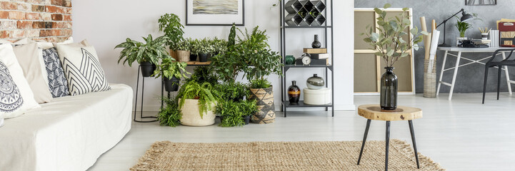 Fototapeta na wymiar Living room interior with plants