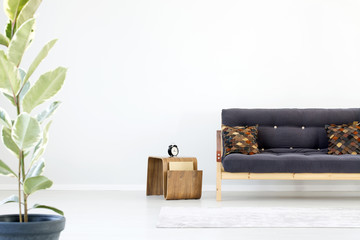 Plant in bright living room