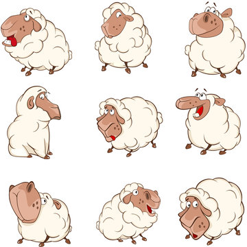 Set of  Cartoon Illustration Sheep for you Design
